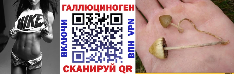 Псилоцибиновые грибы мухоморы  Цоци-Юрт 